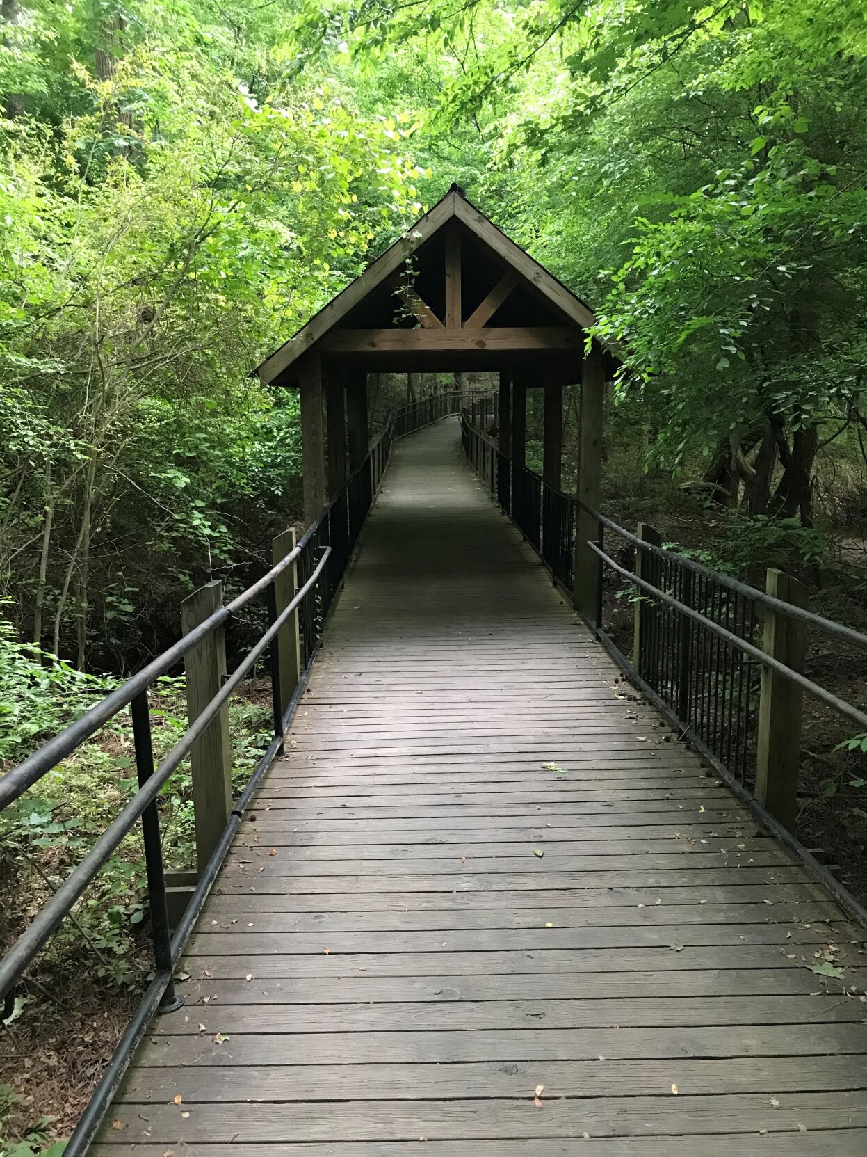 Bridge on the Greenway